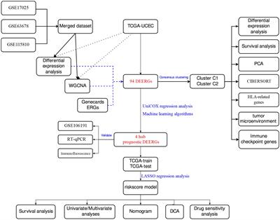 Construction and verification of an endoplasmic reticulum stress-related prognostic model for endometrial cancer based on WGCNA and machine learning algorithms